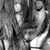 Briana Kelly's profile image