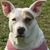 Daisy Olmo's profile image
