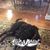 Nancy LiPuma's profile image