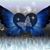 Lorie Allen's profile image