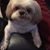 Beth Yankey's profile image