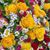 Jitendra Kumar Dash's profile image