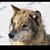 Brian Reynolds's profile image