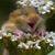 Catherine Burns's profile image