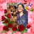 Lisa Tarducci's profile image