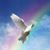 Barbara Gale Wells's profile image