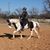 Mary Luttrell Collins's profile image