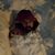 Jared Finger's profile image