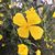 Nan Phillips Mace's profile image