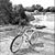 Diane Curran's profile image
