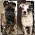 Pam Duncan Chellew Karlslyst's profile image