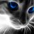 CJ Dixon's profile image