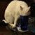 Shyla Mahacek's profile image