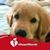 Sharon Bradley's profile image