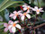 Dina M.'s profile image