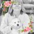 Deborah Meares Puckett's profile image