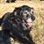 Penny France-Levings's profile image