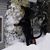 Tracy LaGasse's profile image