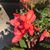 Wendy Morrell's profile image