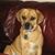 Andrea Dunigan's profile image