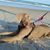 Melanie Jeanne Rose's profile image
