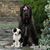 Lynn Ann Lacyk's profile image