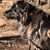 Debbie Haydon's profile image