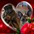 Mary Lackovich's profile image