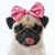 Kelly Nichol's profile image