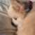 Kathy Mitchell's profile image
