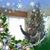 Myra Augusto Voyles's profile image