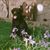 Richard Doyle's profile image