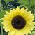 Kathy Richardson's profile image