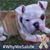 Kristy Mitchell-Vailencour's profile image