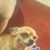 Almoch Iza Jr.'s profile image
