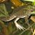 Agnes Barba's profile image