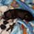 Jay Lycett's profile image