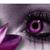 Karen Armentrout's profile image