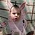 Alyssa Botkin Halweg's profile image