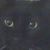 Robin Sauls's profile image