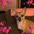 Thea Davison's profile image
