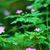Rita Chapman's profile image