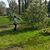 Mariah Bishel's profile image
