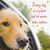 Patti Thorpe Wilson's profile image