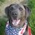 Tom N Patty Bennett's profile image