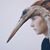 Rook R.M. McNamara's profile image
