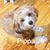Sherry Finch Rohde's profile image