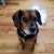 Joan Gagnon's profile image