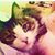 Jenny Lee's profile image