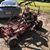 Danielle Leah Ladwig's profile image